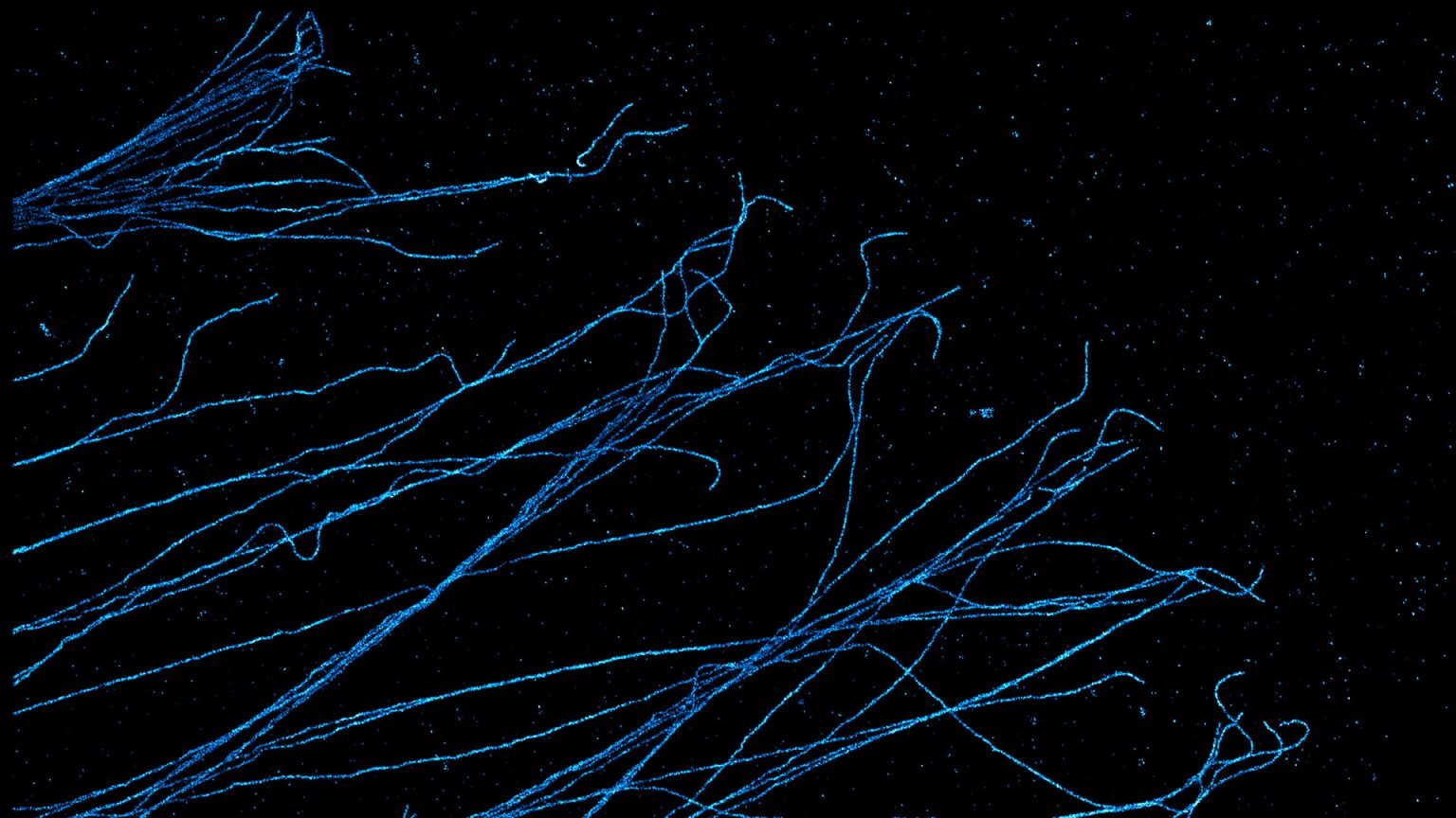 © EPFL SB IPHYS LEB